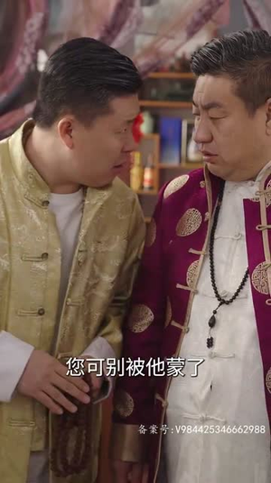 赘婿天子（91集）红果短剧看全集