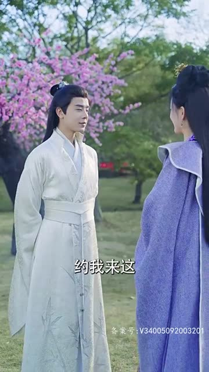 步步为上（97集）精彩短剧分享