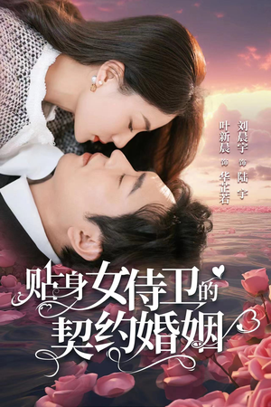 贴身女侍卫的契约婚姻（91集）短剧上热门