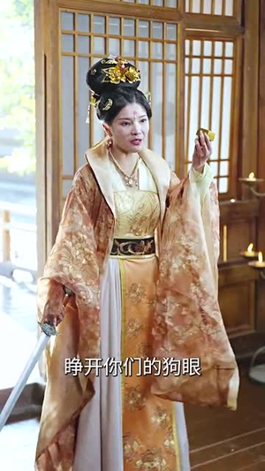 乾帝（89集）好看吗