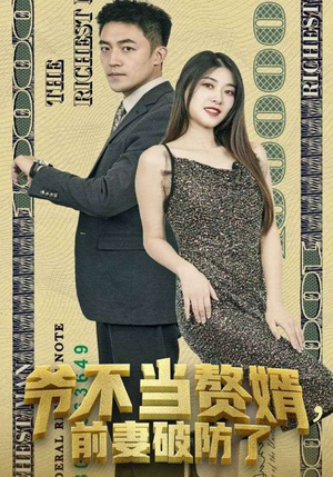 爷不当赘婿，前妻破防了（80集）网络小短剧