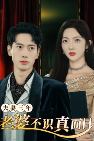 夫妻三年老婆不识真面目（83集）夸克在线观看