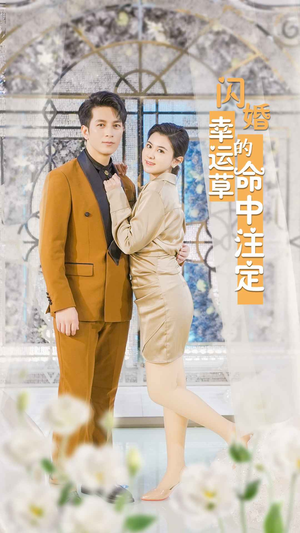 闪婚幸运草的命中注定（82集）甜宠短剧推荐