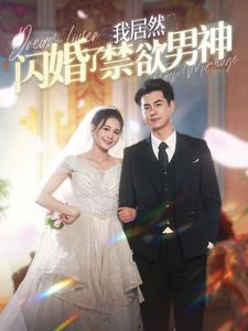 我居然闪婚了禁欲男神（101集）短剧小说在线看