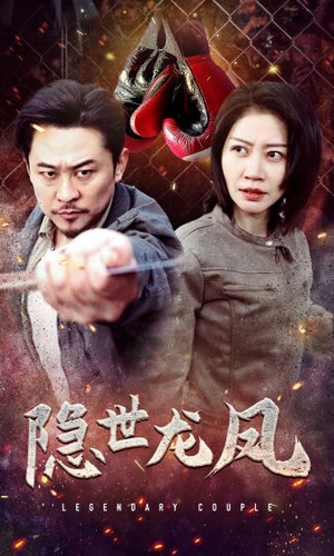 隐世龙凤（63集）免费版