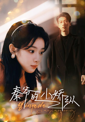 秦爷的小娇纵（96集）免费观看就是爽