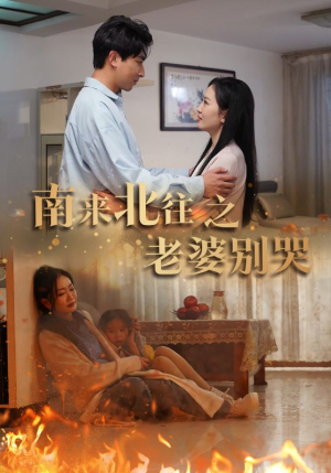 南来北往之老婆别哭（87集）古装短剧推荐