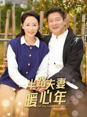 半路夫妻暖心年（89集）红果免费短剧