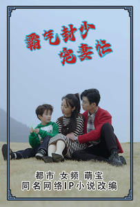 霸气封少宠妻忙（80集）热播短剧来袭