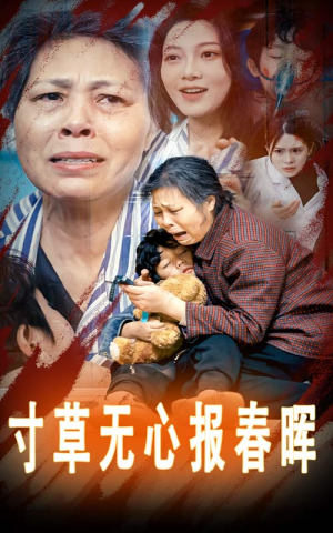孝子慈孙（31集）短剧免费看全集