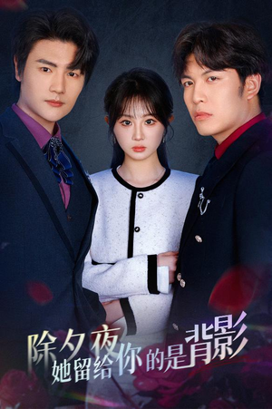 除夕夜她留给你的是背影（30集）短剧演员排行榜