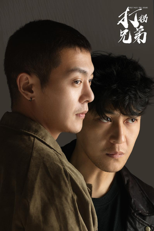 打拐兄弟（30集）第三季