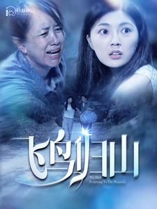 飞鸟归山（100集）免费版