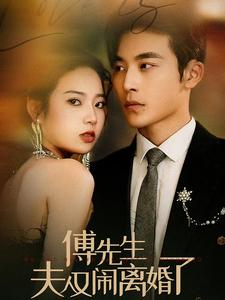 傅先生夫人又闹离婚了（80集）演的怎么样
