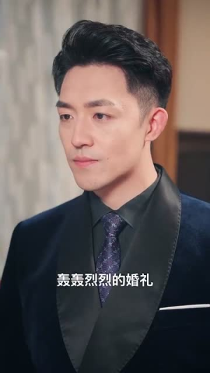孤舟之城1994（60集）夸克网盘在线看