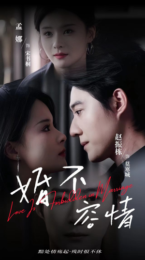 婚不容情（89集）免费全集短剧