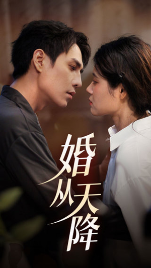 婚从天降（92集）短剧在线看