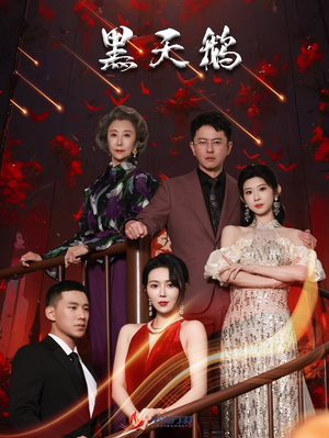 黑天鹅（51集）短剧太好看了吧