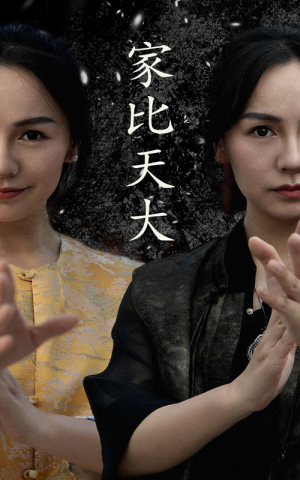 家比天大（63集）短剧热门推荐