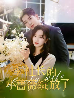 季社长的小蔷薇绽放了（60集）在哪个app能看