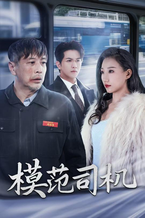 模范司机（30集）全集免费