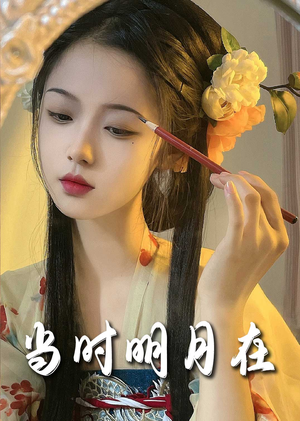 当时明月在（71集）短剧热播推荐