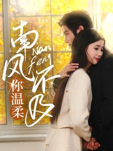 南风不及你温柔（74集）免费版