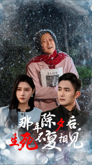 那年除夕后生死不复相见（48集）免费短剧看不停