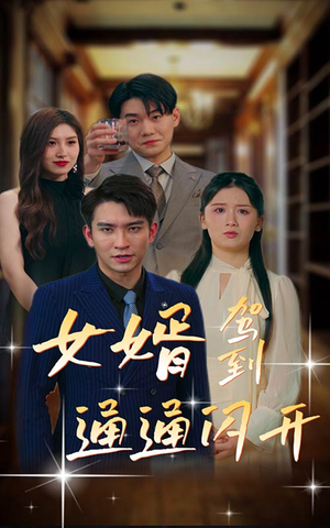 女婿驾到,通通闪开(34集) 女婿驾到,通通闪开(34集)短剧热播中