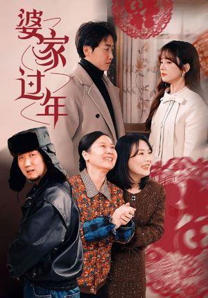 婆家过年（71集）热门短剧来袭