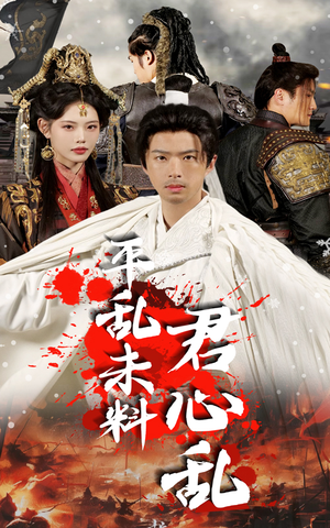 平乱未料君心乱（30集）在线观看