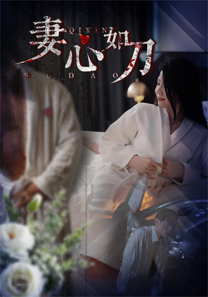 妻心如刀（30集）360网盘观看