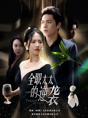 全职太太的逆袭（80集）红果短剧看全集