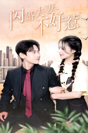 闪婚夫妻不好惹（90集）爆款热门短剧