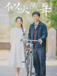 似火流年（100集）经典回顾免费看