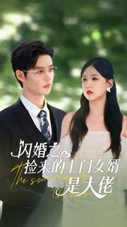 闪婚之捡来的上门女婿是大佬（79集）男频短剧推荐