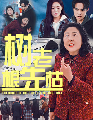 树老根先枯（33集）抢先看热门短剧
