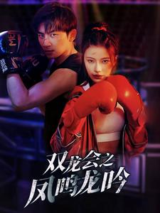 双龙会之凤鸣龙吟（80集）经典老剧免费看