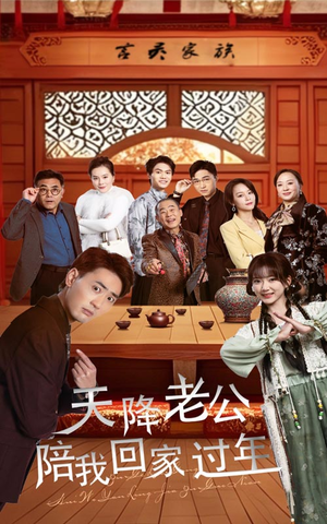 天降老公陪我回家过年（60集）在线看完整版