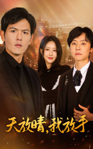 天放晴，我放手（35集）短剧演员排行榜