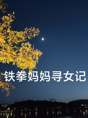 铁拳妈妈寻女记（69集）短剧每日分享