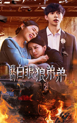 我的白眼狼弟弟（69集）短剧热播中