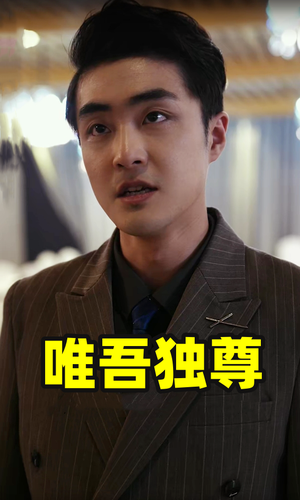 唯吾独尊（96集）看到大结局