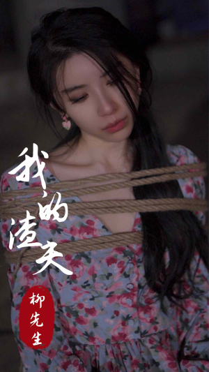 我的渣夫柳先生（80集）最新火爆短剧