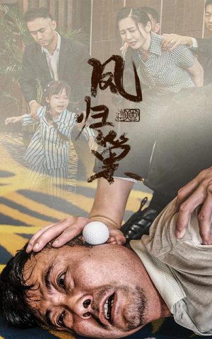 新版：凤归巢（68集）免费看全网短剧