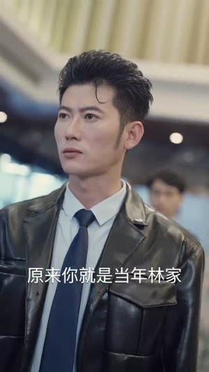 新版：枭龙（71集）全集下载