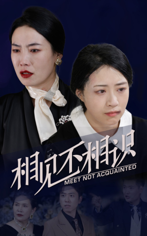 相见不相识（34集）在哪里看