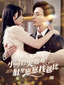 小可怜哭唧唧肚里崽崽找爸比（100集）免费在线看全集