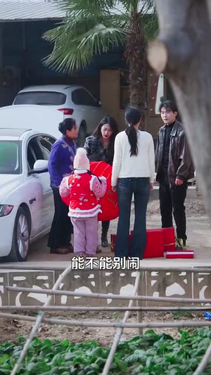 远嫁后初二回娘家（35集）短剧免费看全集