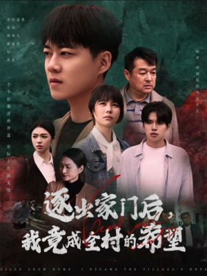 我竟是全村的希望（30集）演的怎么样